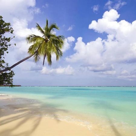 Cute Guest Suite In Kailua With Ac!!! Экстерьер фото