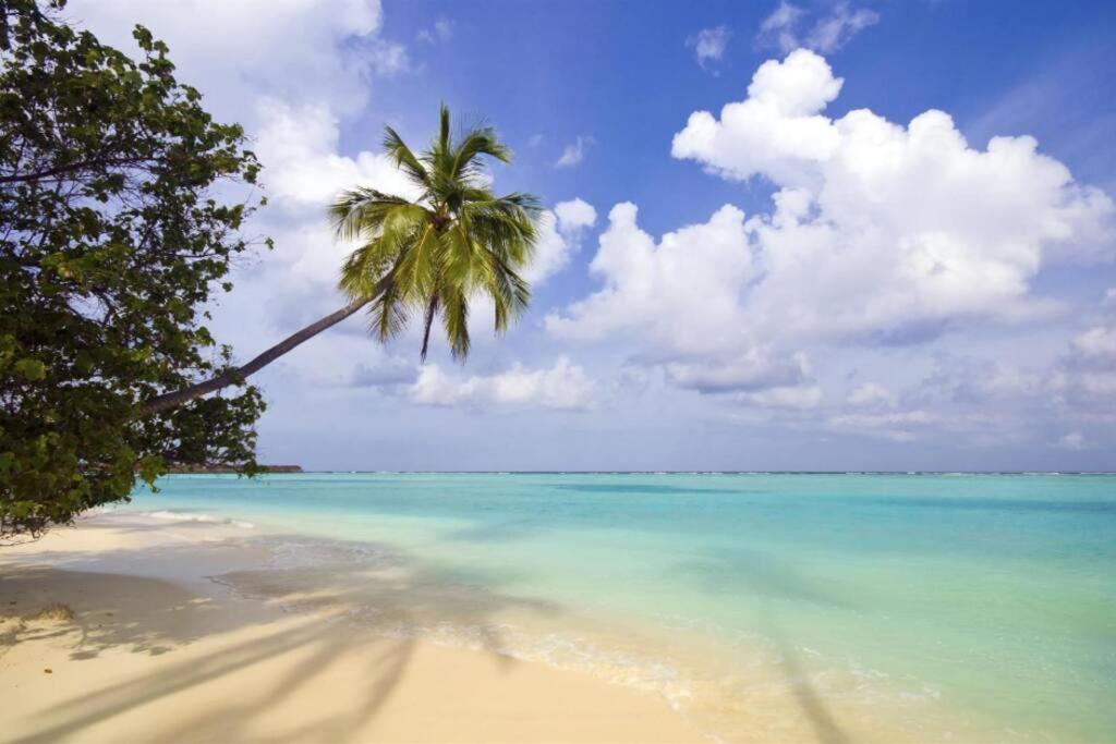 Cute Guest Suite In Kailua With Ac!!! Экстерьер фото
